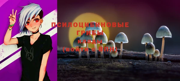 винт Белокуриха