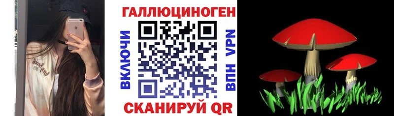 Псилоцибиновые грибы Psilocybe  Оха 